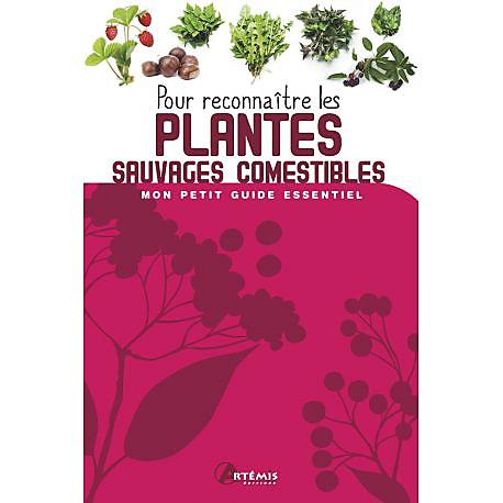 Petit guide pour découvrir les fleurs comestibles