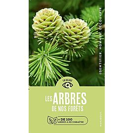 LES ARBRES DE NOS FORETS EN BALADE