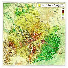 GEORELIEF D21 COTE D'OR 31X31